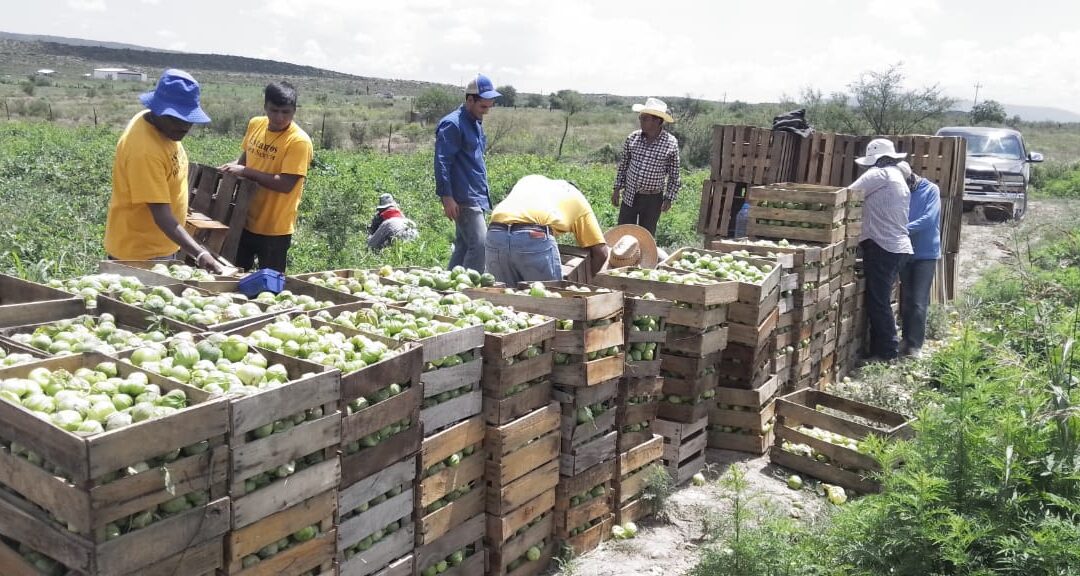 República Rural, Justa y Soberana