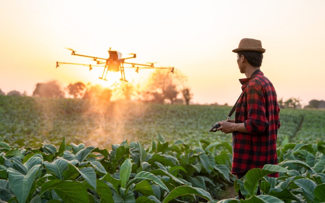 La Tecnología de la Información (TI) en la agricultura y la ganadería