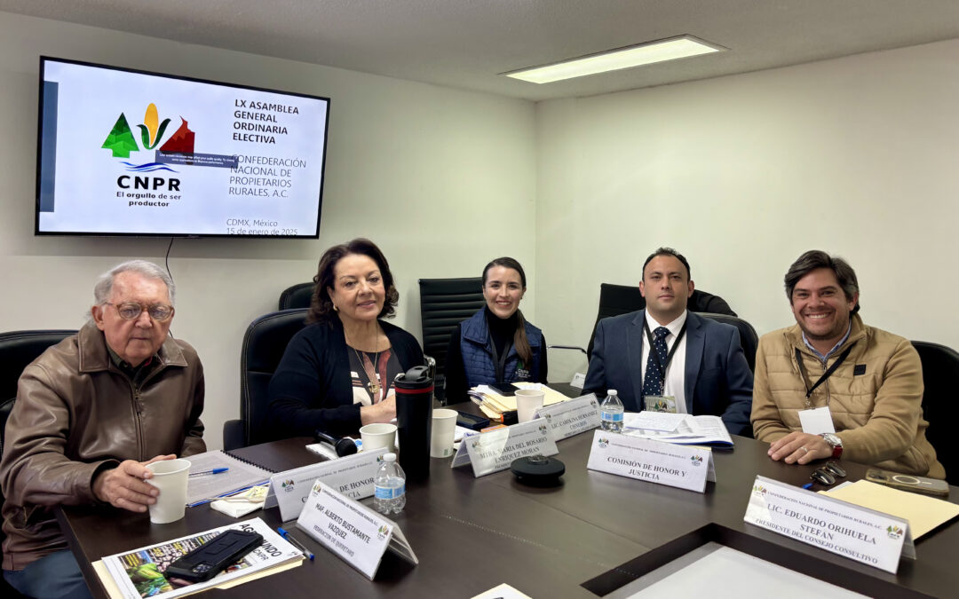 Reelección del Comité Ejecutivo Nacional 2025-2028