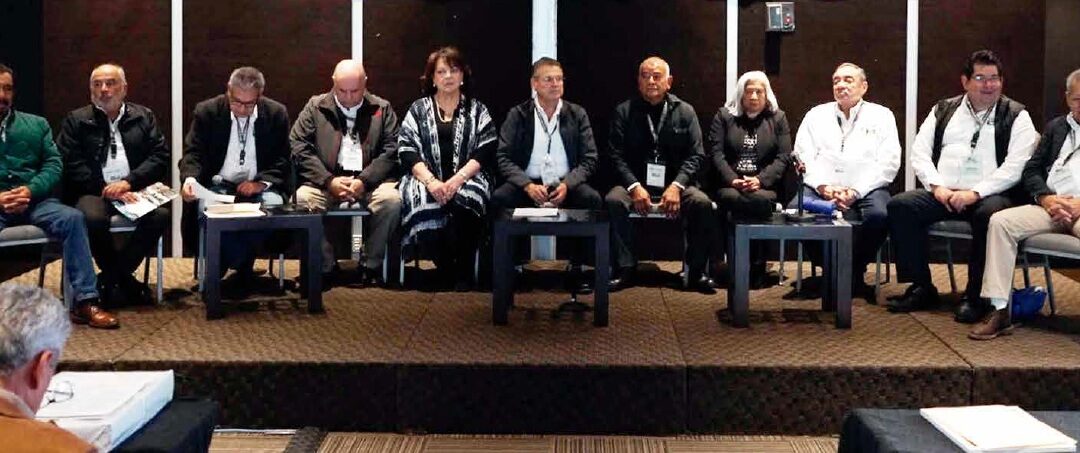 Sumar esfuerzos para detonar el cambio: Pleno Nacional de Dirigentes de la Unión Nacional de Cañeros, CNPR, 2024