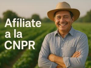 Afiliación CNPR