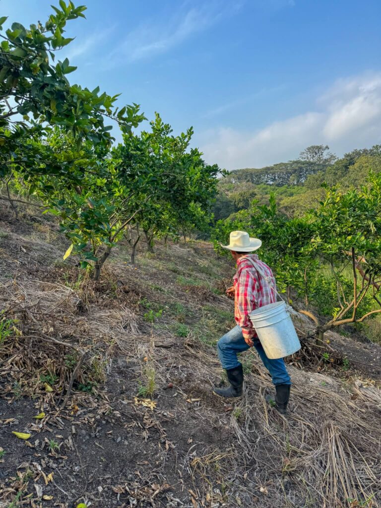 Afiliacion-CNPR-202600008