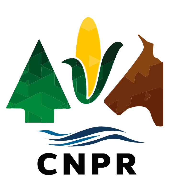 Logo CNPR actual