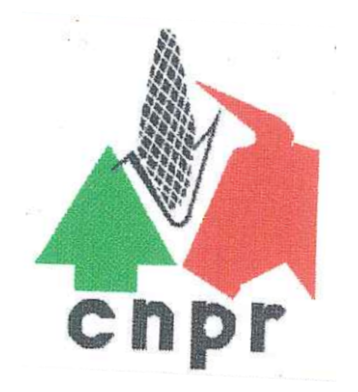 Logo CNPR anterior