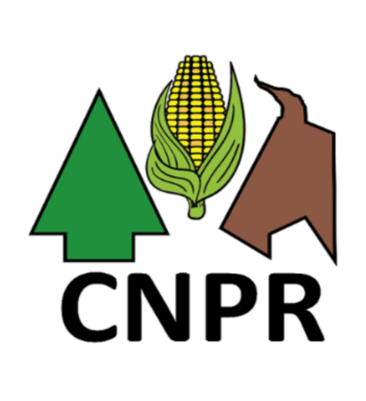 Logo CNPP